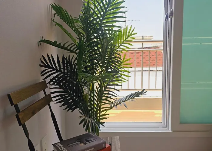 Urban Terrace House *