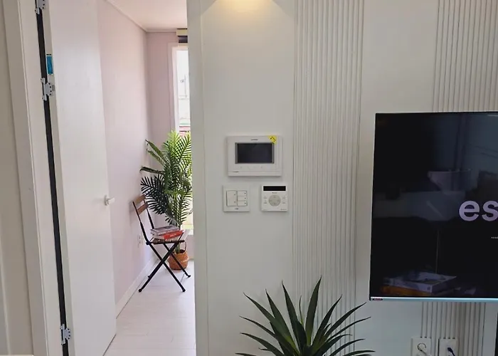 Urban Terrace House